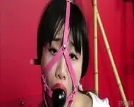 Asian Bound And Fucked