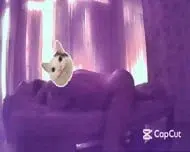 Asian Massage and Sex time in Massage Parlour