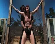 Fodida Em Petrodlares