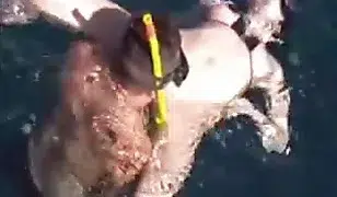 Sabine Mallory Underwater Sex