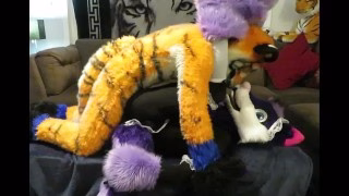 Tiger Tops Wolf