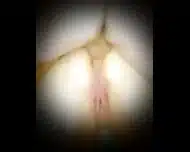 Amateur Wife Squirting Multiple Times During Hard Anal