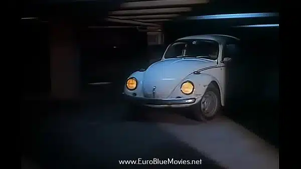 Classic Vintage French Porn