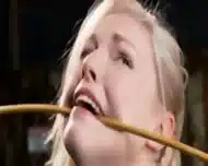E Nova 4