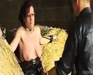 Slave Used In Barn